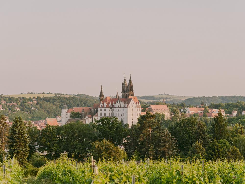 wein