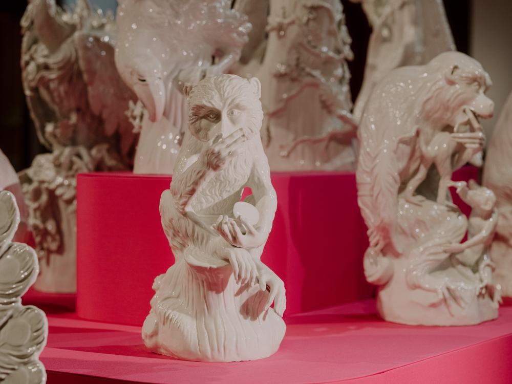 Meissener Perspektiven